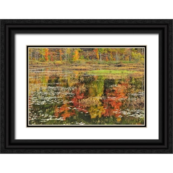 Grandmaison, Mike 24x17 Black Ornate Wood Framed with Double Matting Museum Art Print Titled - Canada, Minden Reflection of autumn in pond