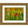 thumbnail image 1 of Grandmaison, Mike 24x18 Gold Ornate Wood Framed with Double Matting Museum Art Print Titled - Canada Fall reflection in St Poithier Lake, 1 of 4