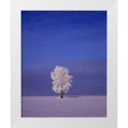 thumbnail image 1 of Grandmaison, Mike 26x31 White Modern Wood Framed Museum Art Print Titled - Canada, Dugald, hoarfrost on cottonwood tree, 1 of 4