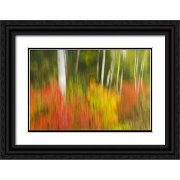 Grandmaison, Mike 32x23 Black Ornate Wood Framed with Double Matting Museum Art Print Titled - Canada, Ontario, Algonquin PP Autumn scenic