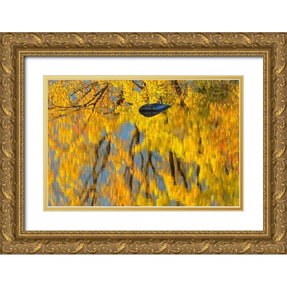 Grandmaison, Mike 32x23 Gold Ornate Wood Framed with Double Matting Museum Art Print Titled - Canada, Ontario, Whitefish Vermilion River, fall