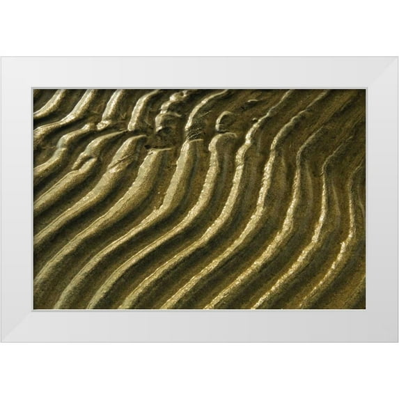 Grandmaison, Mike 32x23 White Modern Wood Framed Museum Art Print Titled - Canada, Ontario Ripples in sand of Georgian Bay