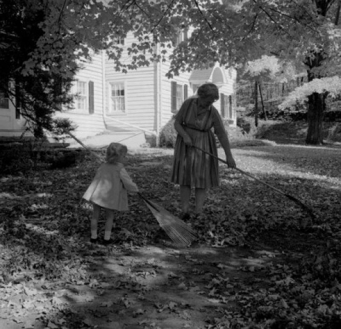 Grandmother with granddaughter raking leaves in garden Canvas Art - (24 x 36)