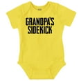 thumbnail image 1 of Grandpa Sidekick Cute Funny Grandkids Romper Boys or Girls Infant Baby Brisco Brands 6M, 1 of 1