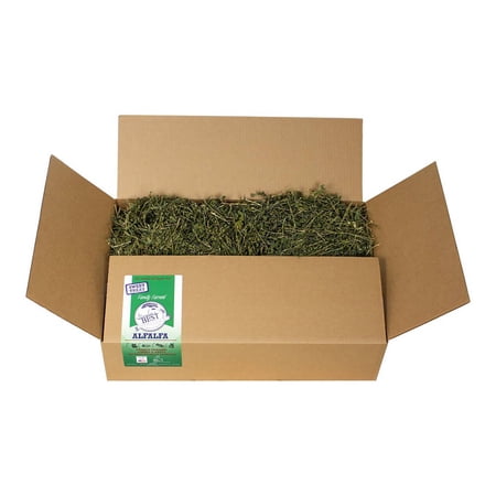 Grandpa's Best Alfalfa Hay 5lb Loose Boxed Hay for Small Animals