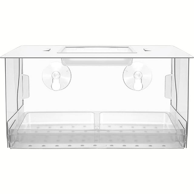 Grandpas Feeder Hummingbirds Hummingbird Feed Backyard Feeder Window