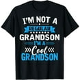 thumbnail image 1 of Grandson I'm Not A Regular Grandson I'm A Cool Grandson T-Shirt, 1 of 3