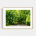 thumbnail image 1 of Grandview Drive - Peoria Illinois Photography Oak Framed Wall Art Print 24 x 36 inches, 1 of 6