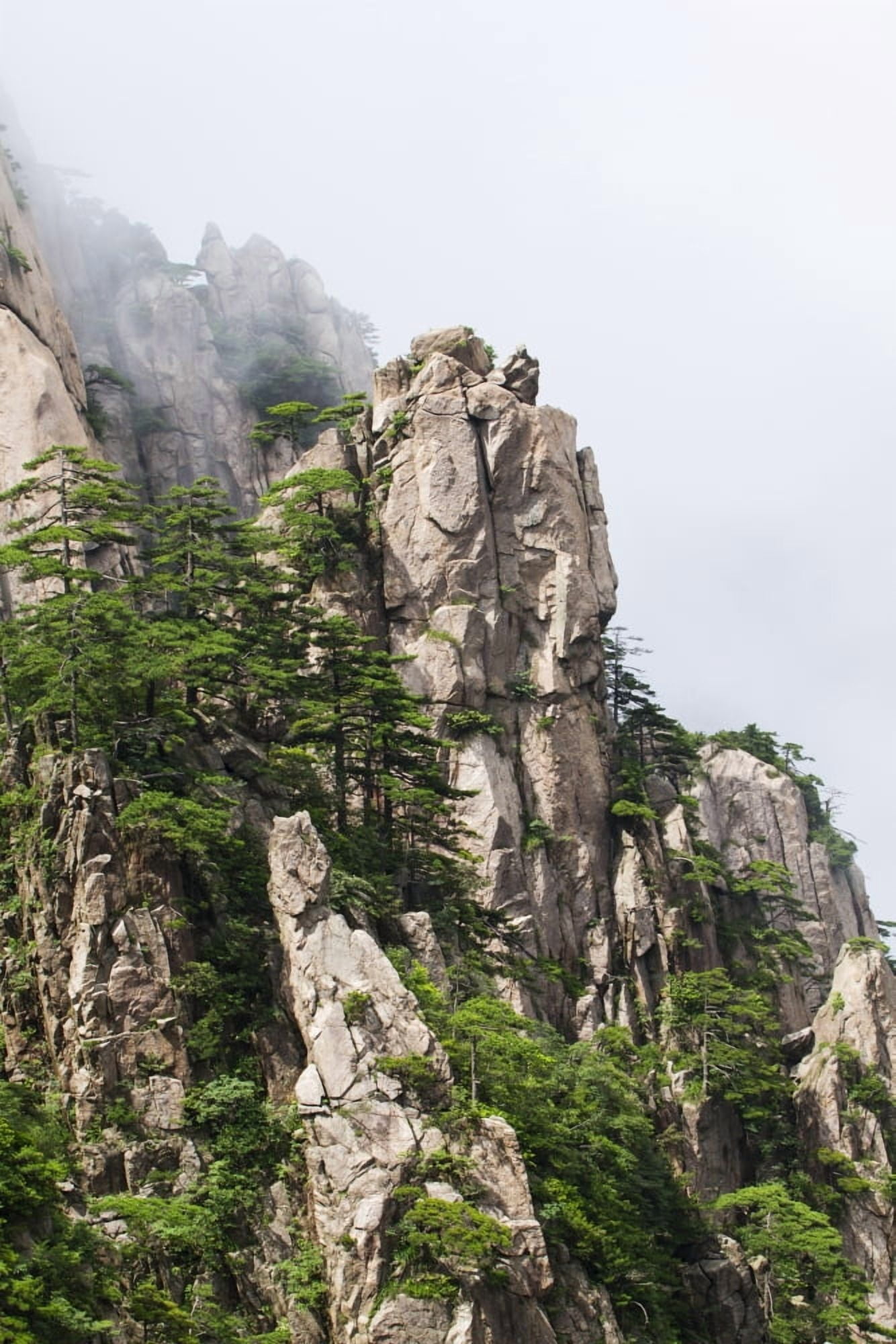 Granite peaks with pine trees in the North Sea Scenic area Mount Huangshan Anhui China Canvas Art - Peter Langer Design Pics (12 x 19)