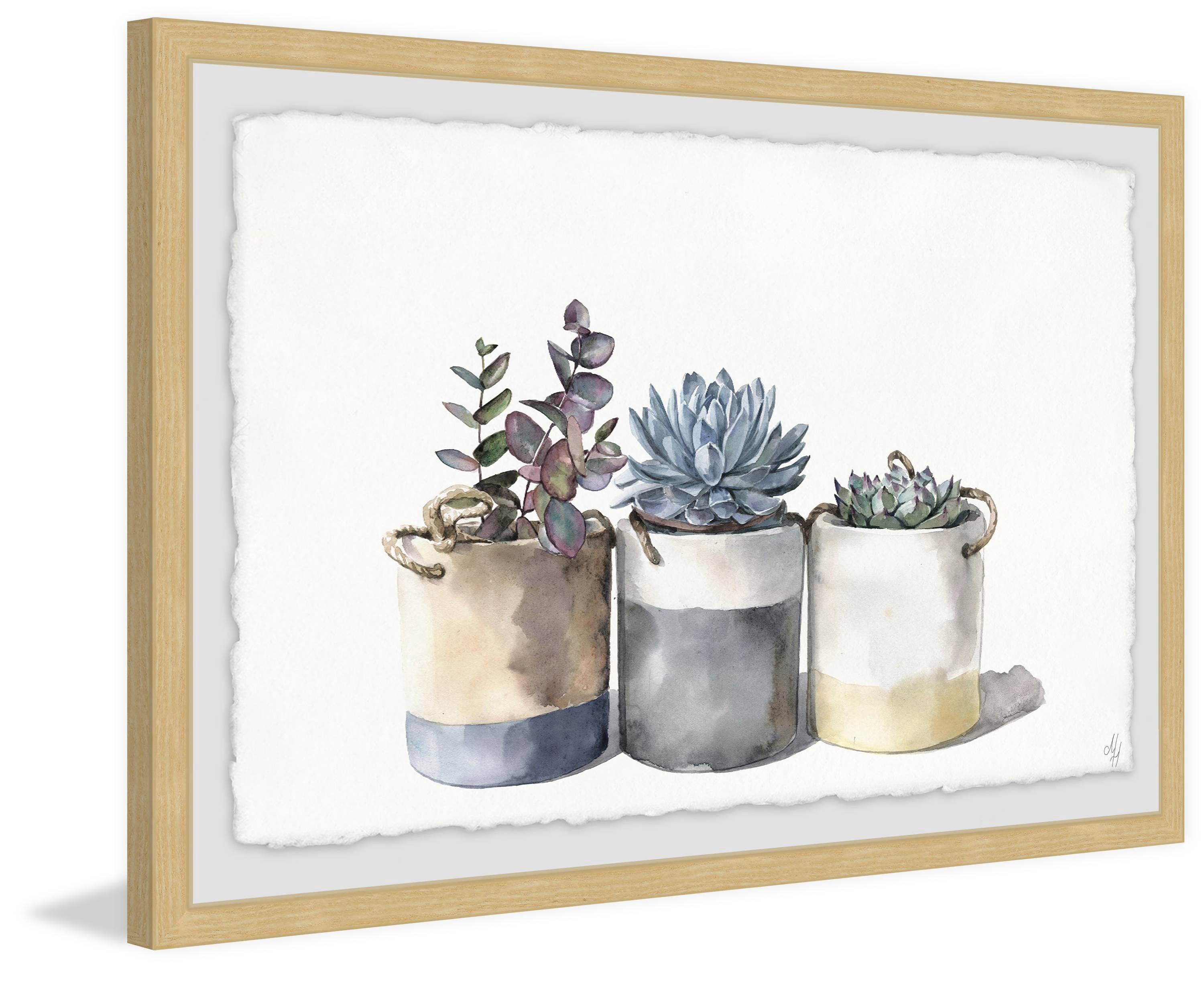 Granny's Cacti Framed Painting Art Print, 30.00" x 1.50"