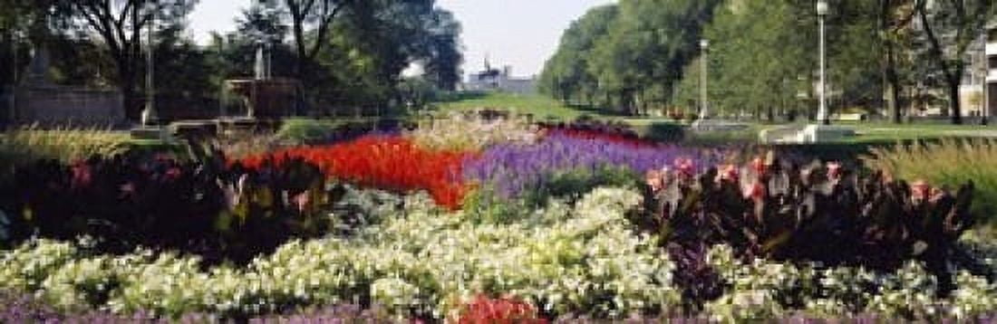 Grant Park Chicago Illinois USA Canvas Art - Panoramic Images (18 x 6)