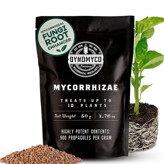 Granular Mycorrhizal Fungi Inoculant, 50g / 1.76oz Boosts Root Growth, Yields & Nutrient Uptake 900 Propagules/g, Concentrated Granules, & OMRI Listed Biofertilizer for Plant Growth