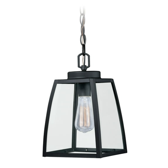 Granville 1 Light Bronze Outdoor Lantern Pendant Clear Glass