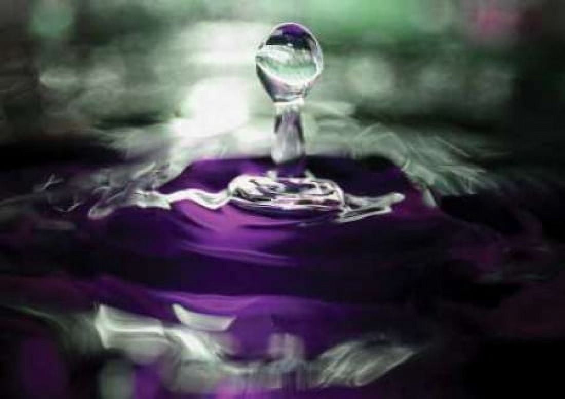 Grape Drink Drop II Canvas Art - Tammy Putman (18 x 24)