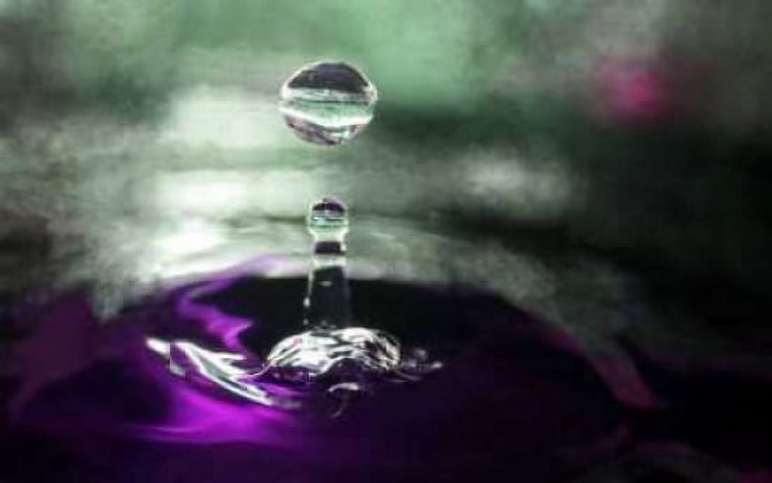 Grape Drink Drop III Canvas Art - Tammy Putman (24 x 36)