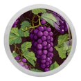 thumbnail image 1 of Grape Fluorescent Drawer Pulls with Screws - Round 4-Pack - Glow-in-the-Dark Knobs for Cabinets, Wardrobes, Dressers, 1 of 6