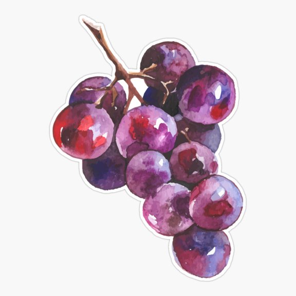 Grape Fresh Kitchen Decor Art Fresh Style Vinyl Sticker