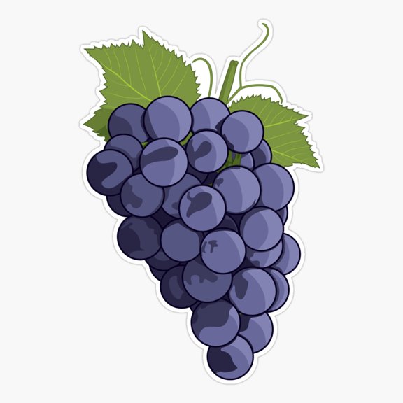 Grape Fresh Kitchen Decor Art Retro Style Vinyl Sticker