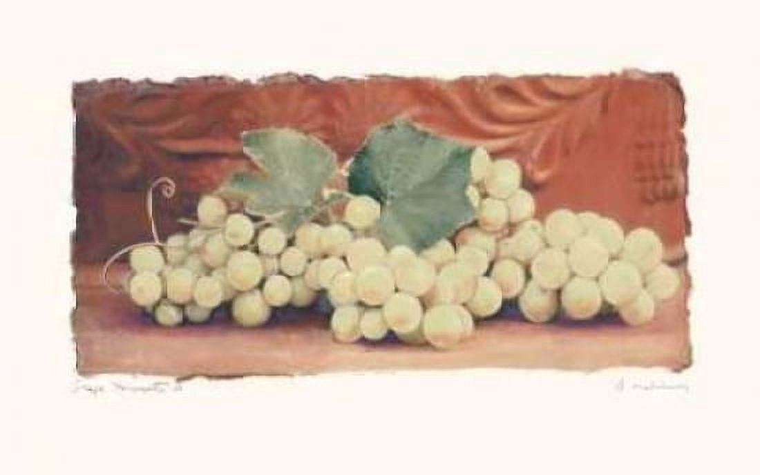 Grape Harvest II Canvas Art - Amy Melious (12 x 18)