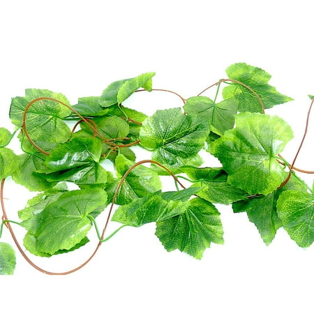 Grape Leaf Reptile Vine