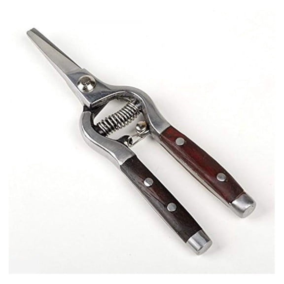 Grape Pruning Shears 8 Inch - Stainless Steel Wood Handle Trimmer - Spring Loaded Garden Secateurs for Vineyard, Orchard, & Floral Use
