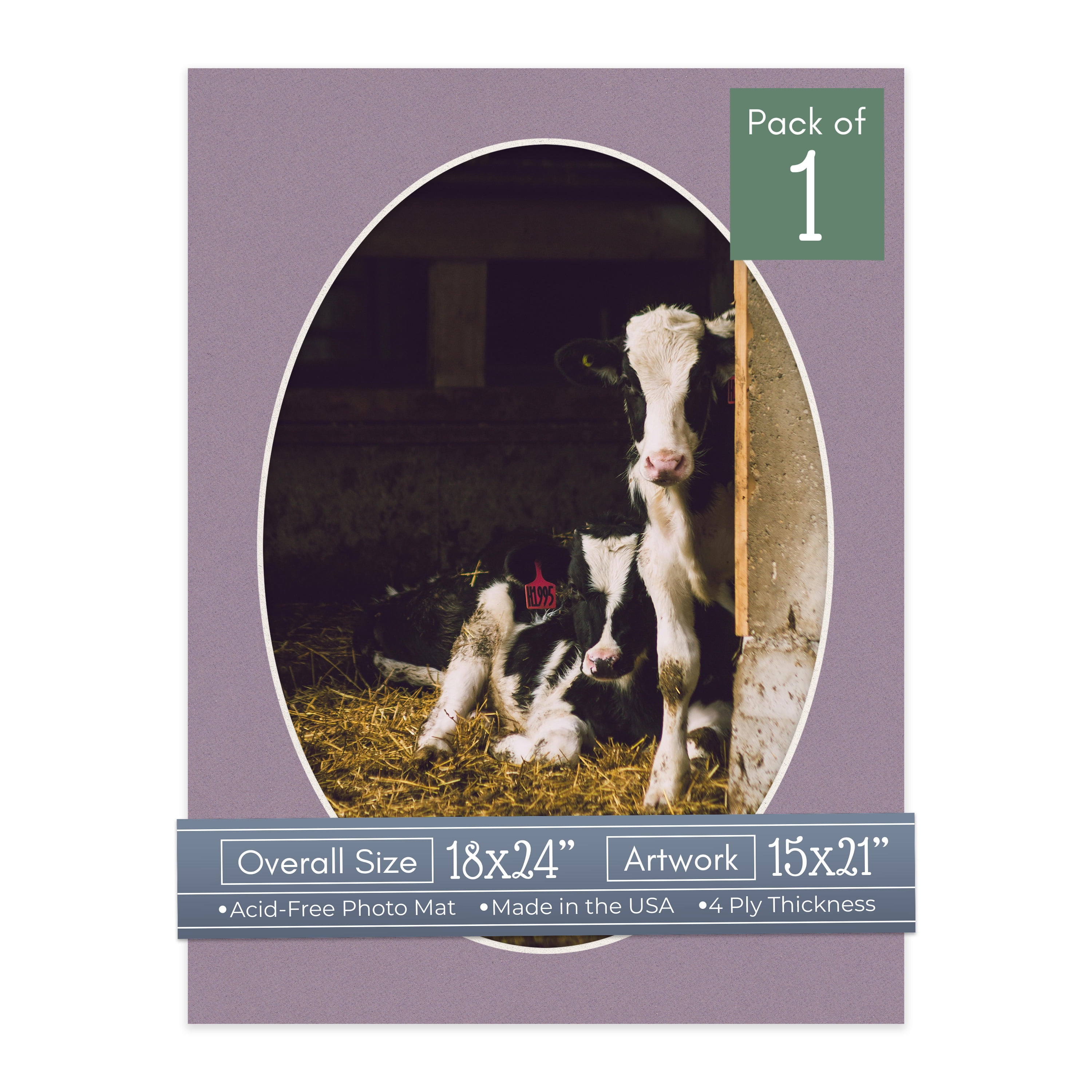 Grape Purple Picture Frame Mat for 18x24 Frames - Oval Opening for 15x21 Photos - 1 Mat