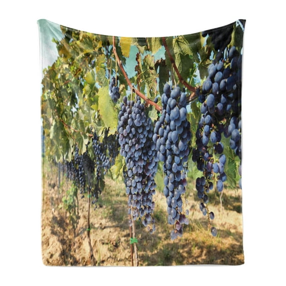 Grape Soft Flannel Fleece Blanket, Rows of Wine Fruits in Tuscany Italy Organic Natural Harvest Countryside, Cozy Plush for Indoor and Outdoor Use, 70" x 90", Avocado Green Ceil Blue, by Ambesonne