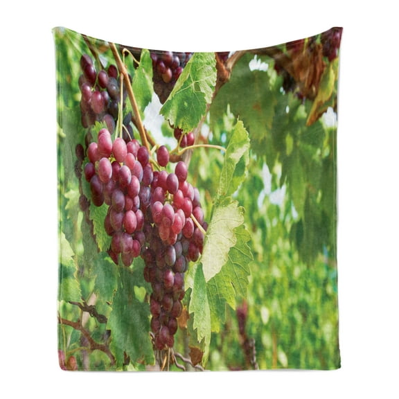 Grape Soft Flannel Fleece Throw Blanket, Bunch of Concorde Wine Fruits Blurred Backdrop Country Vineyard View, Cozy Plush for Indoor and Outdoor Use, 50" x 60", Lime Green Dark Coral, by Ambesonne