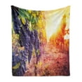 thumbnail image 1 of Grape Soft Flannel Fleece Throw Blanket, Vineyard with Fresh Ripe Fruits in the Countryside at Sunset Autumn Harvest Photo, Cozy Plush for Indoor and Outdoor Use, 60" x 80", Multicolor, by Ambesonne, 1 of 5