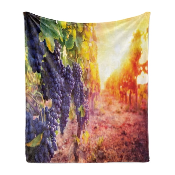 Grape Soft Flannel Fleece Throw Blanket, Vineyard with Fresh Ripe Fruits in the Countryside at Sunset Autumn Harvest Photo, Cozy Plush for Indoor and Outdoor Use, 70" x 90", Multicolor, by Ambesonne
