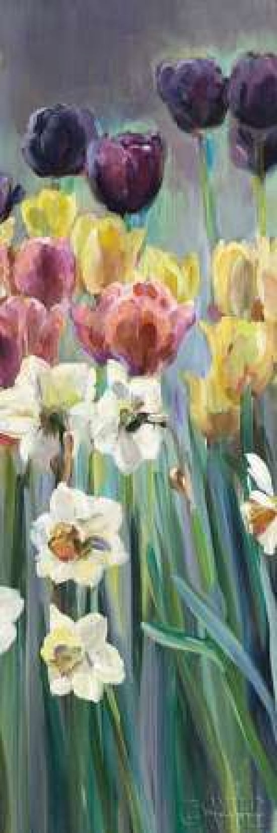 Grape Tulips Panel I Canvas Art - Marilyn Hageman (12 x 36)