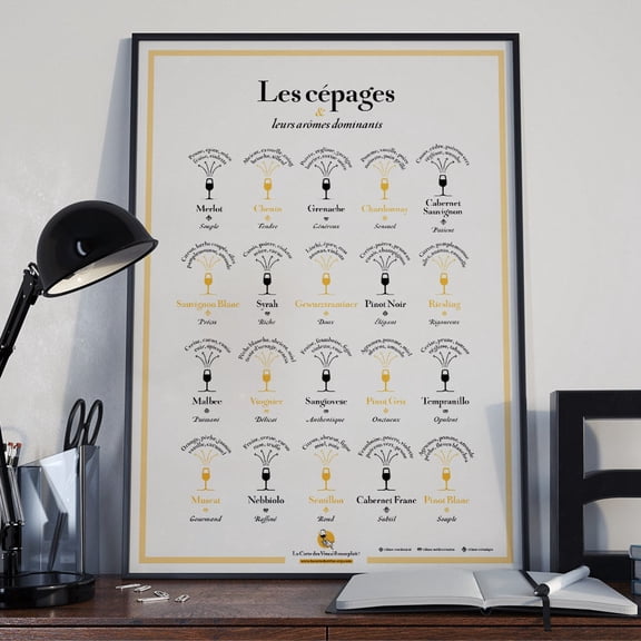 Grape Varieties And Aromas Poster, Wine Lover Wall Art, Unframed Paper Poster 8x10in