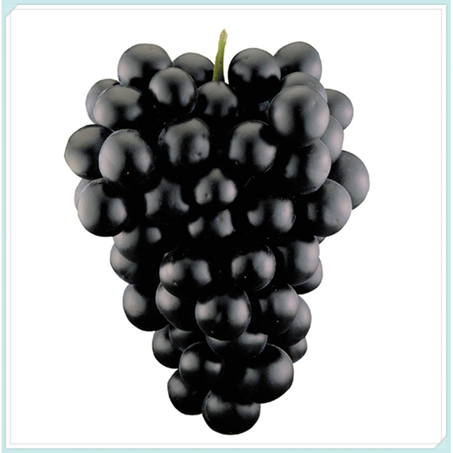Grape Vine Plant, Live for Planting Outdoor, Seedless Grape Plant ,Live