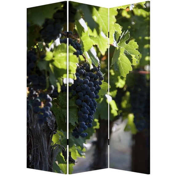 Grape Vine Print Foldable Canvas Screen with 3 Panels in Multicolor