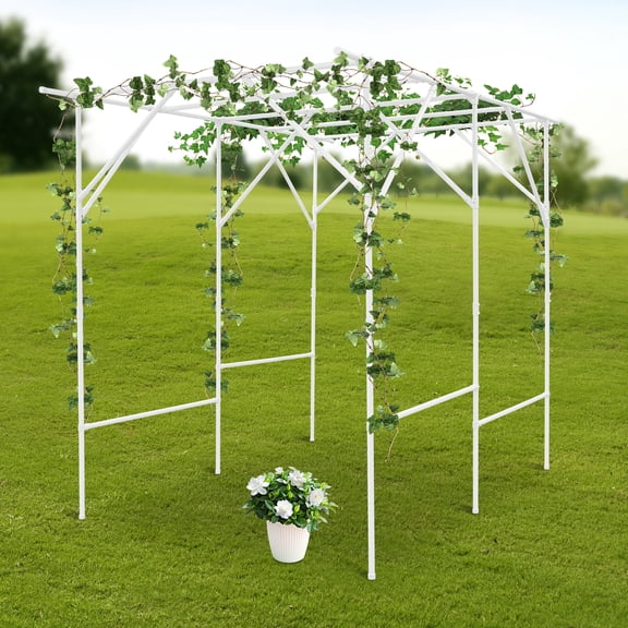 Grape Vine Trellis, Garden Trellis for Climbing Plants, Plant Support Rack Trellises 2*1.5*2m White