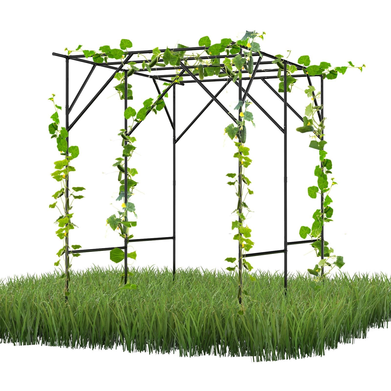 Grape Vine Trellis - Large Outdoor Garden Arch Trellis for Climbing Plants - Size: 78.7 * 59 * 78.5 inches, Plant Support Rack Trellises for Vegetables Fruits Cucumber Pea Bean