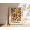thumbnail image 1 of Grapefruit Botanical Abstract Kitchen Decor, 1 of 5