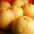 thumbnail image 1 of Grapefruit, 1 of 1