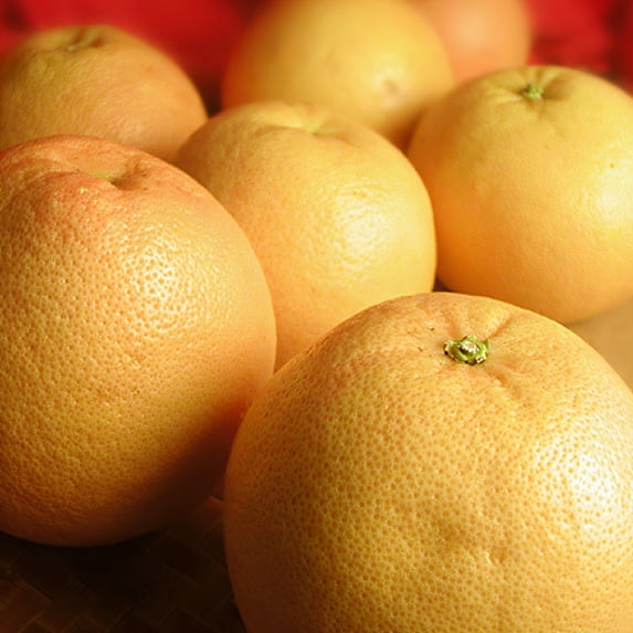 Grapefruit
