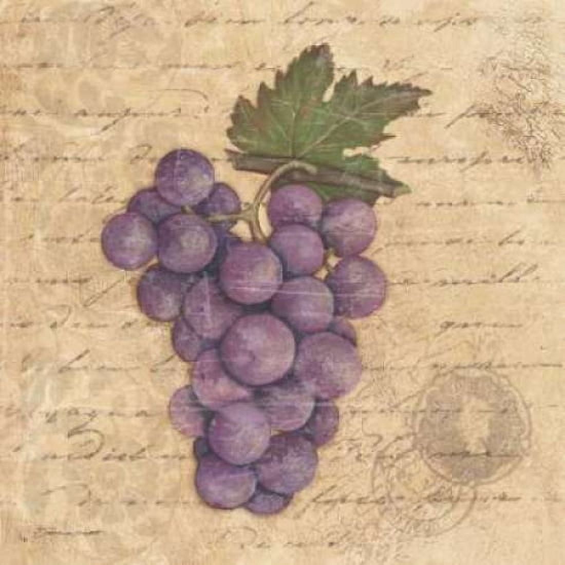 Grapes I Canvas Art - Stephanie Marrott (24 x 24)