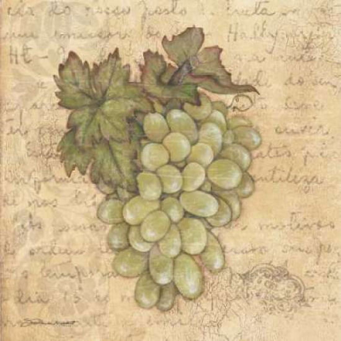 Grapes IV Canvas Art - Stephanie Marrott (24 x 24)