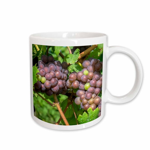3drose, Grapes on Vine, Skaneateles, New York, Usa, 11oz Mug