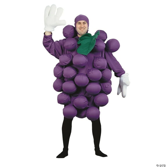 Grapes Purple Adult Costume