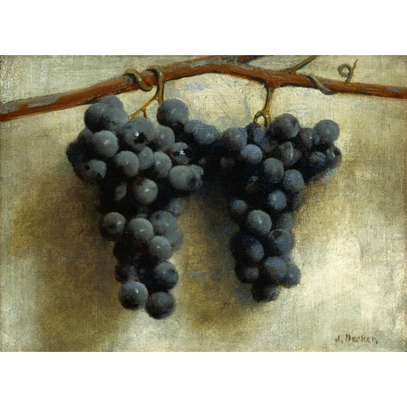 Grapes by Joseph Decker - 12" x 18" Art Print Wall Decor