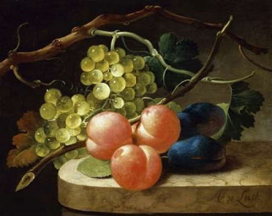 Grapes on a Vine Peaches and Plums on a Ledge Canvas Art - Follwer of Antoni de Lust (24 x 30)