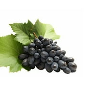 Grapes - strong vines that spread and cover a wide area, bearing fruit naturally