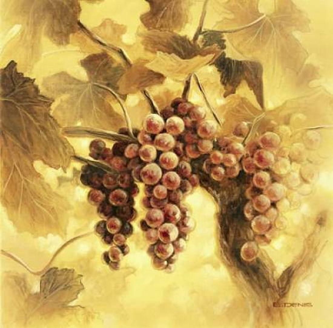 GrapesI Canvas Art - E Denis (24 x 24)