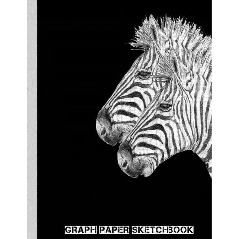 Graph Paper Sketch Book: A Large Zebra Sketchbook- Perfect Drawing Pad for  Artwork, Design or Handlettering-A Great How To Draw Workbook For Beginner  Artists and Students To Practice -110 Pages-8.5x11 