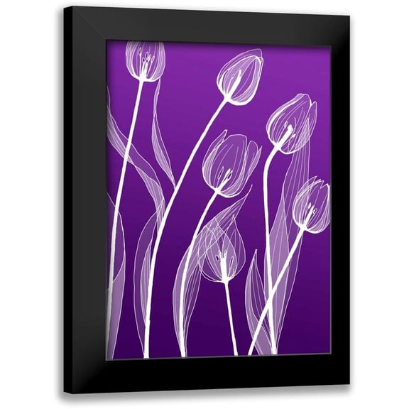 GraphINC 11x14 Black Modern Framed Museum Art Print Titled - X-ray Flowers