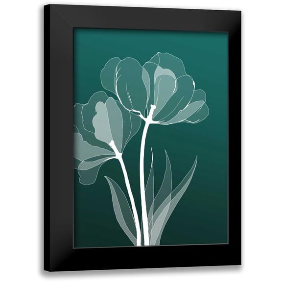 GraphINC 11x14 Black Modern Framed Museum Art Print Titled - X-ray Flowers